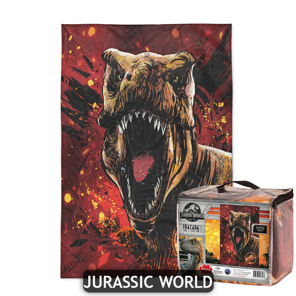 FRAZADAS CORAL FLEECE 1 1/2PL (150x220) MARCA: DISNEYCÓDIGO: PI3900 - Imagen 18