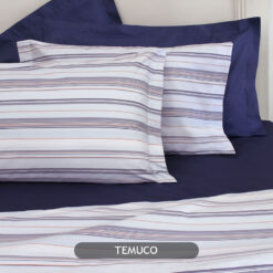 Aiper temuco