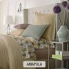 Amapola