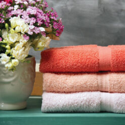 TOALLA VISITA LISA 57 X 28 CM 420 GR</br> <font color="grey", font size="1">MARCA: FRANCO VALENTE</br>CÓDIGO: FVTOAVI</font>