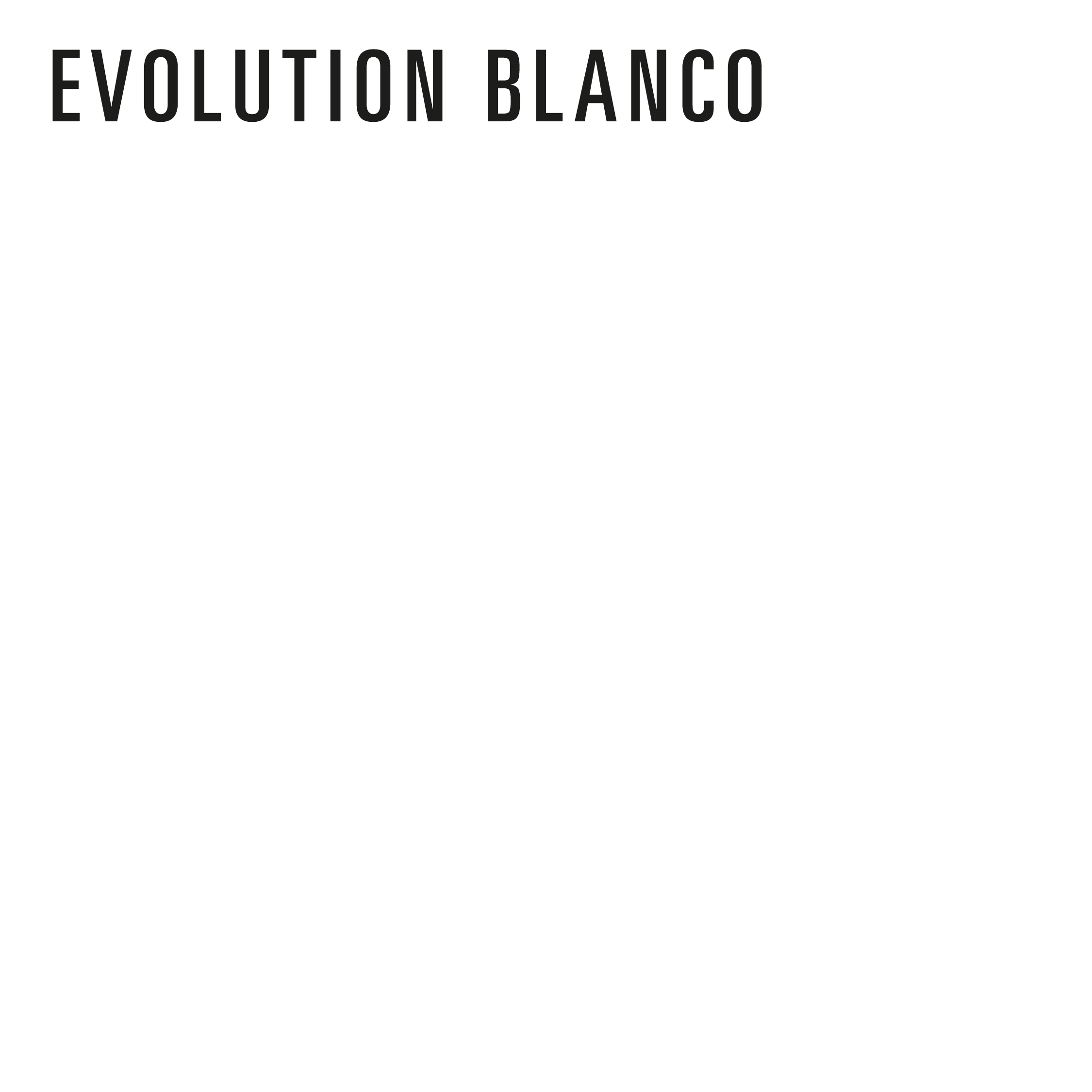 REDISEÑO WEB 2026 AJUSTABLES EVOLUTION BLANCO
