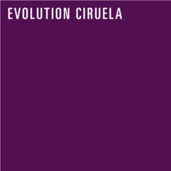 REDISEÑO WEB 2026 AJUSTABLES EVOLUTION CIRUELA