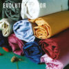 REDISEÑO WEB 2026 AJUSTABLES EVOLUTION COLORS