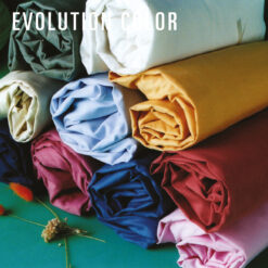 REDISEÑO WEB 2026 AJUSTABLES EVOLUTION COLORS