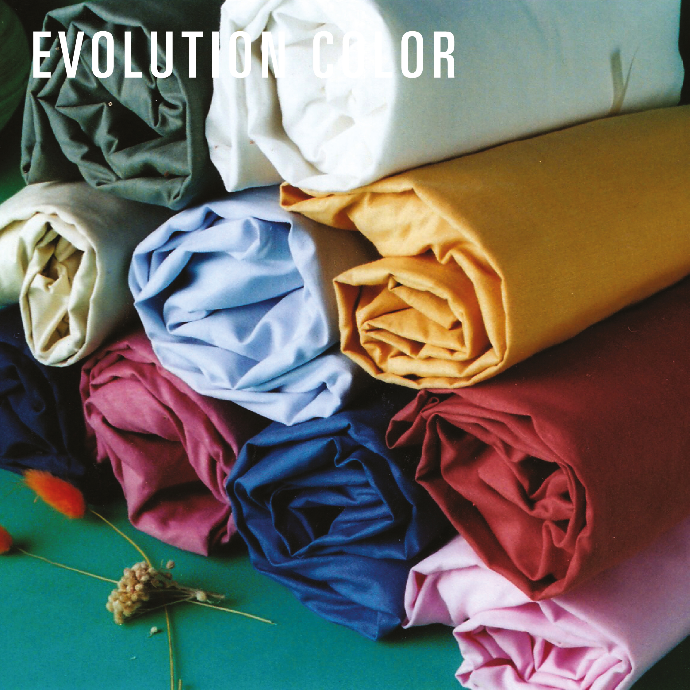 REDISEÑO WEB 2026 AJUSTABLES EVOLUTION COLORS