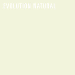 REDISEÑO WEB 2026 AJUSTABLES EVOLUTION NATURAL