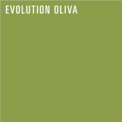 REDISEÑO WEB 2026 AJUSTABLES EVOLUTION OLIVA