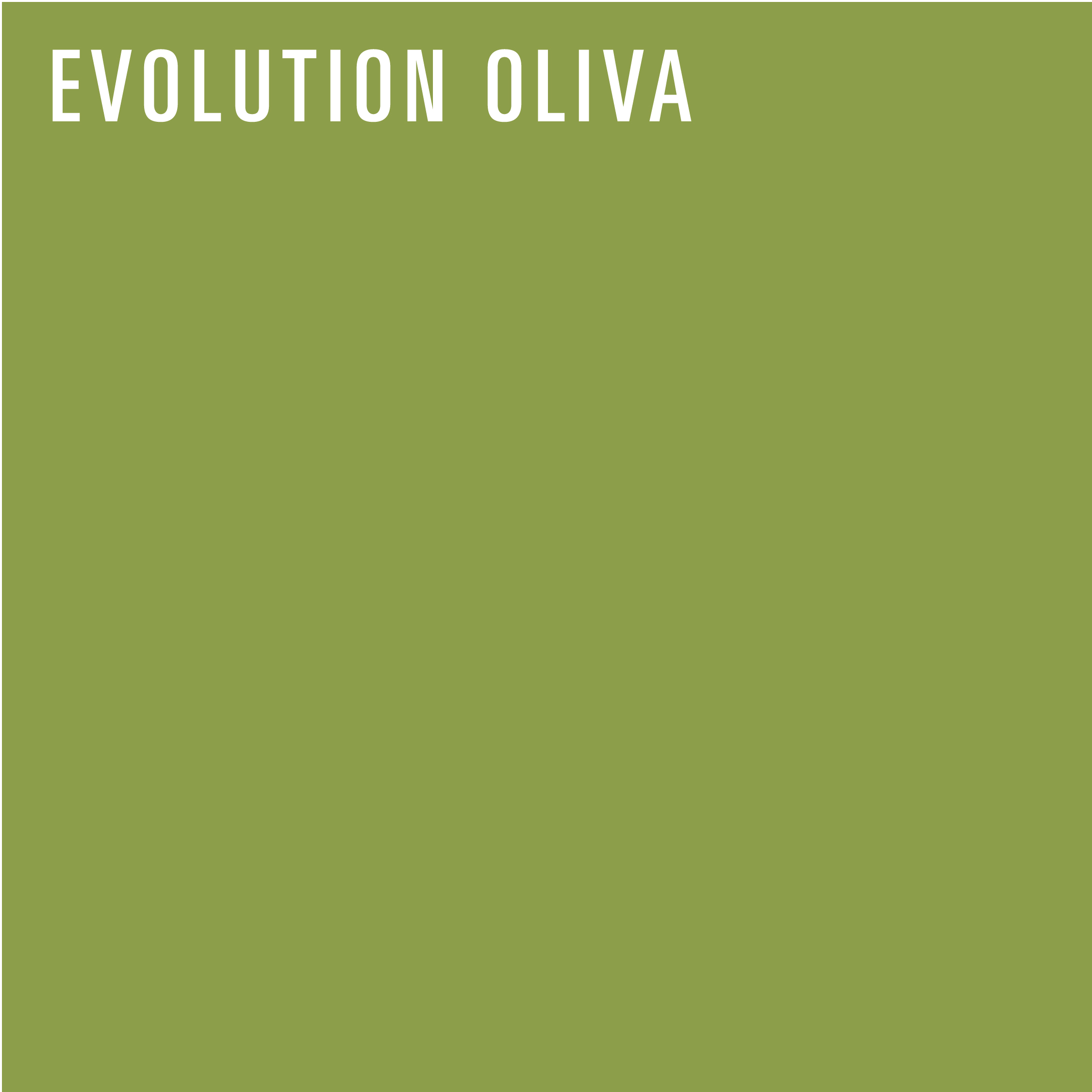 REDISEÑO WEB 2026 AJUSTABLES EVOLUTION OLIVA