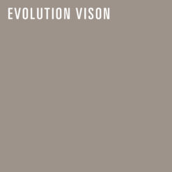 REDISEÑO WEB 2026 AJUSTABLES EVOLUTION VISON