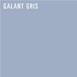 REDISEÑO WEB 2026 AJUSTABLES GALANT GRIS