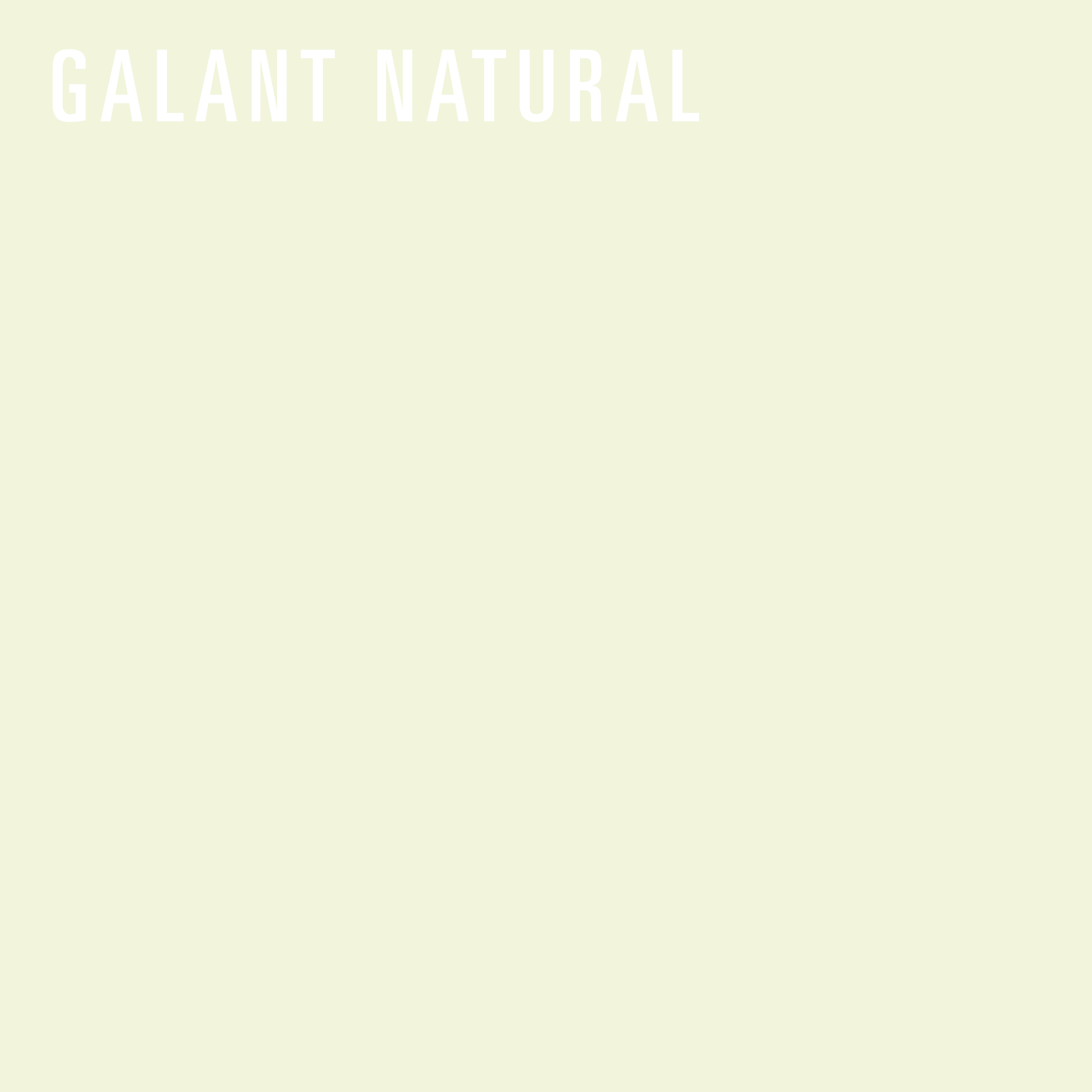 REDISEÑO WEB 2026 AJUSTABLES GALANT NATURAL