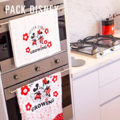 REDISEÑO WEB 2026 REPASADORES PACK DISNEY