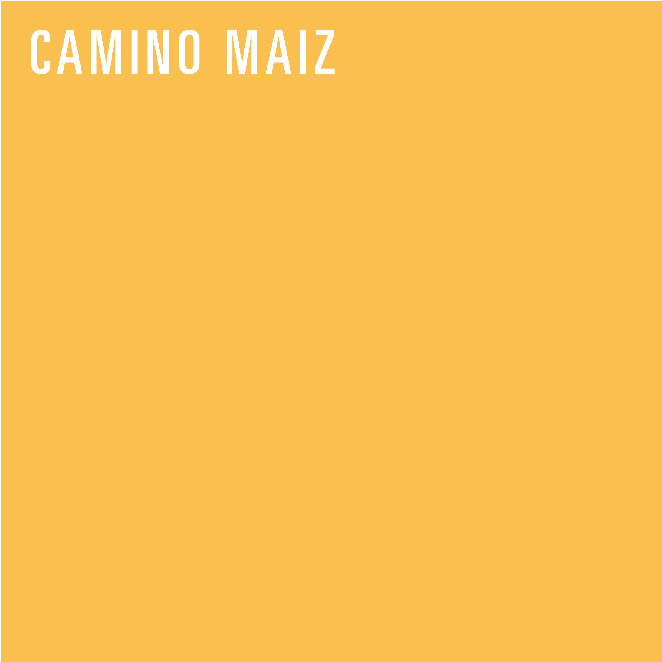 REDISEÑO WEB 2026 MANTELES & ACCESORIOS CAMINO MAIZ