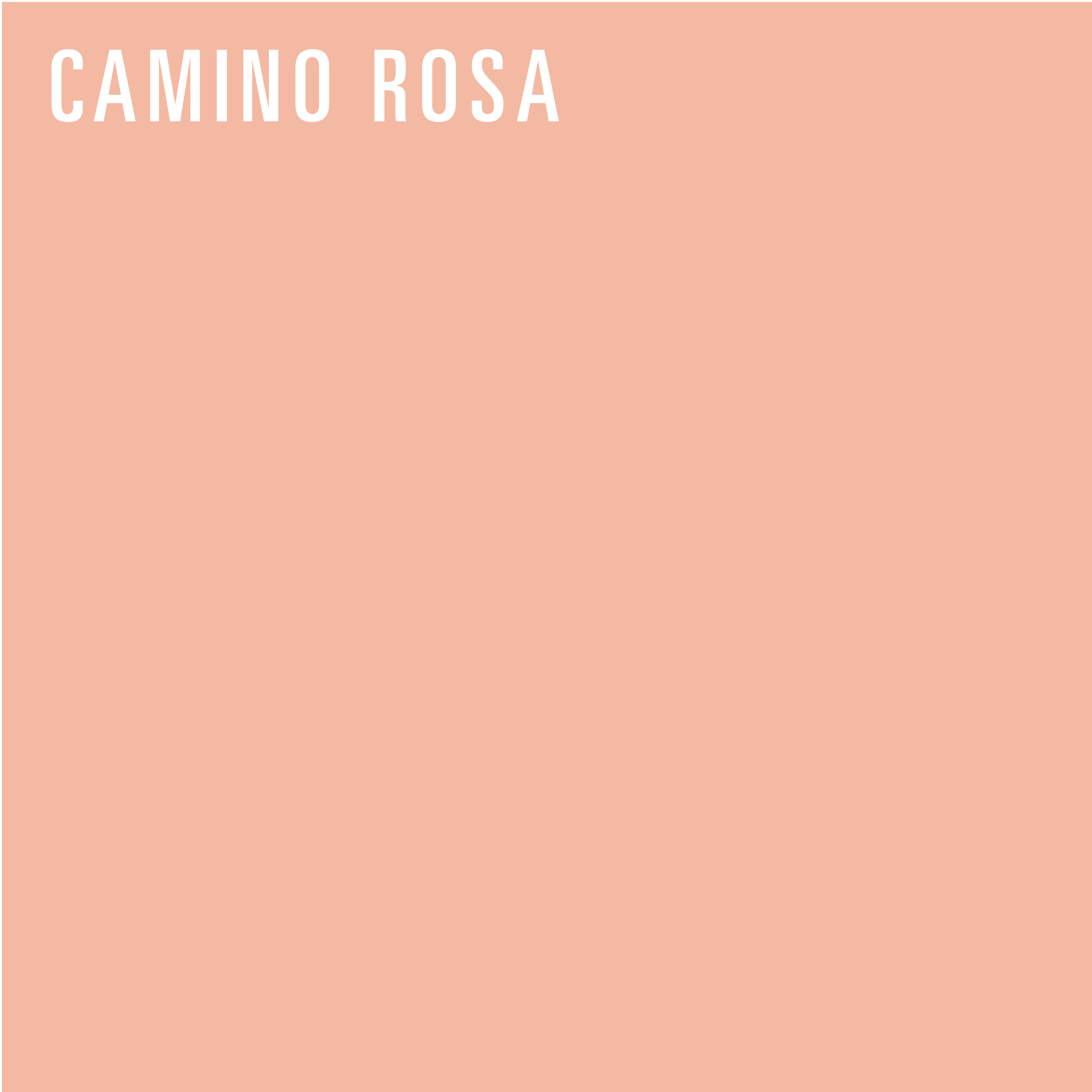 REDISEÑO WEB 2026 MANTELES & ACCESORIOS CAMINO ROSA