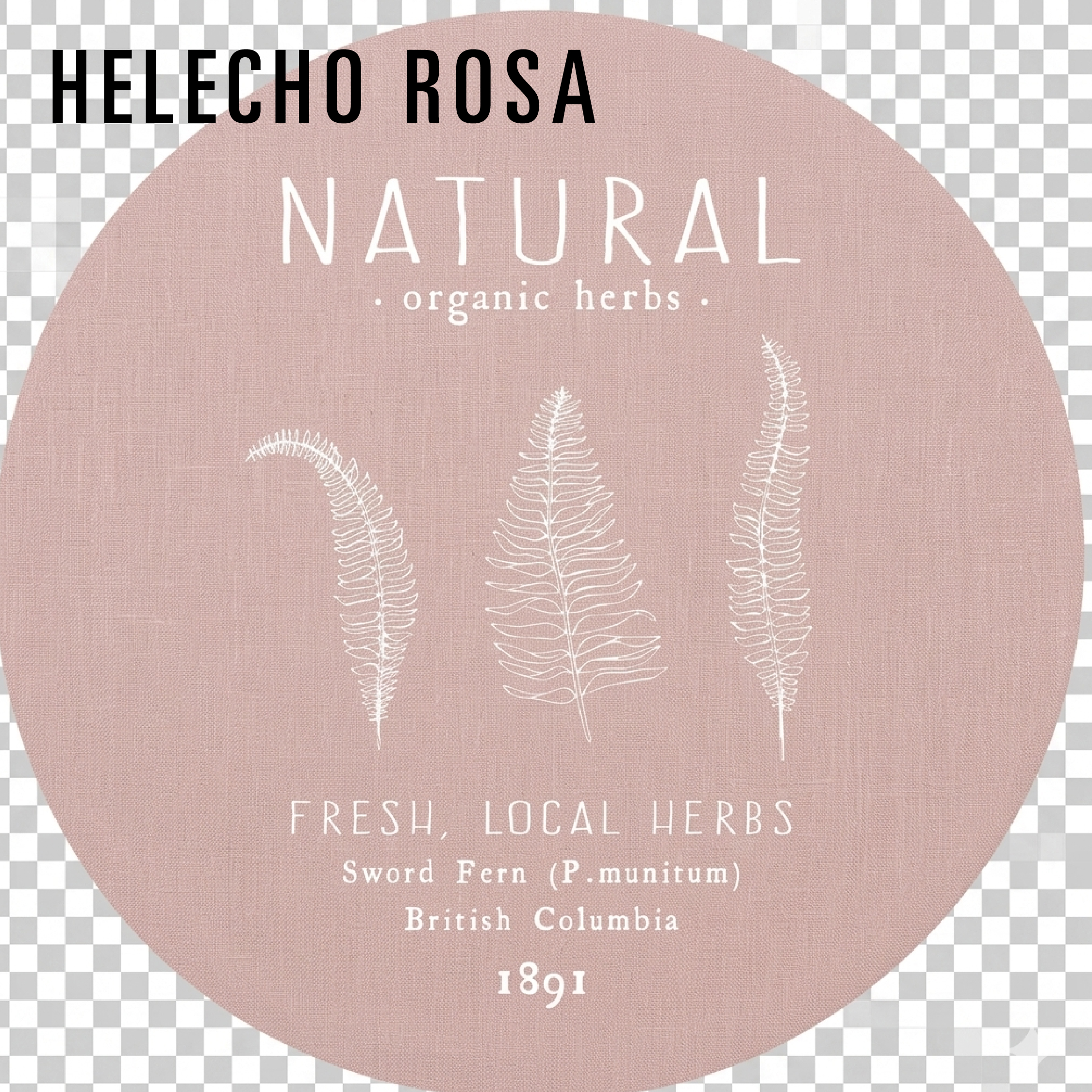 REDISEÑO WEB 2026 MANTELES & ACCESORIOS HELECHO ROSA