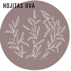 REDISEÑO WEB 2026 MANTELES & ACCESORIOS HOJITAS UVA