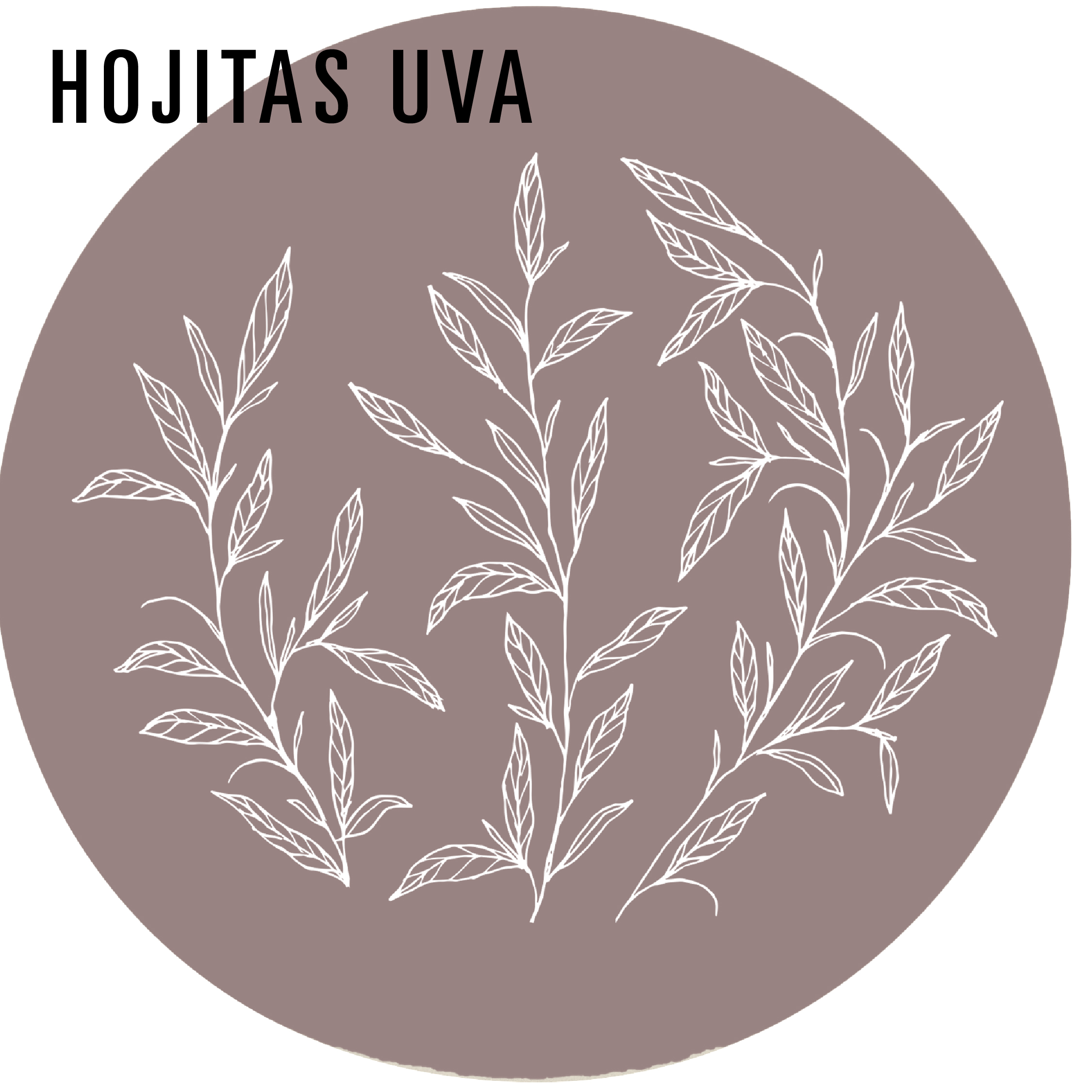 REDISEÑO WEB 2026 MANTELES & ACCESORIOS HOJITAS UVA