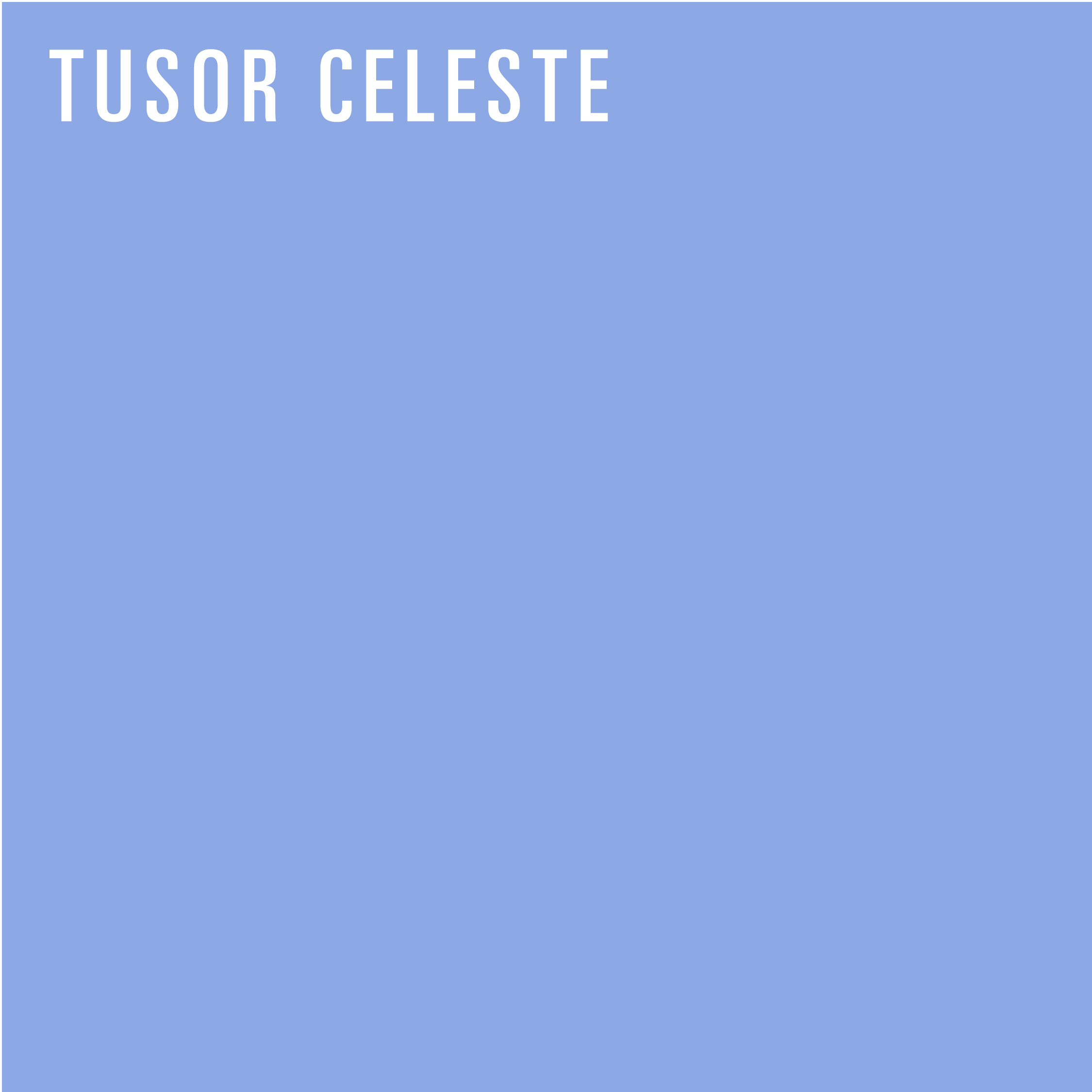 REDISEÑO WEB 2026 MANTELES & ACCESORIOS TUSOR CELESTE