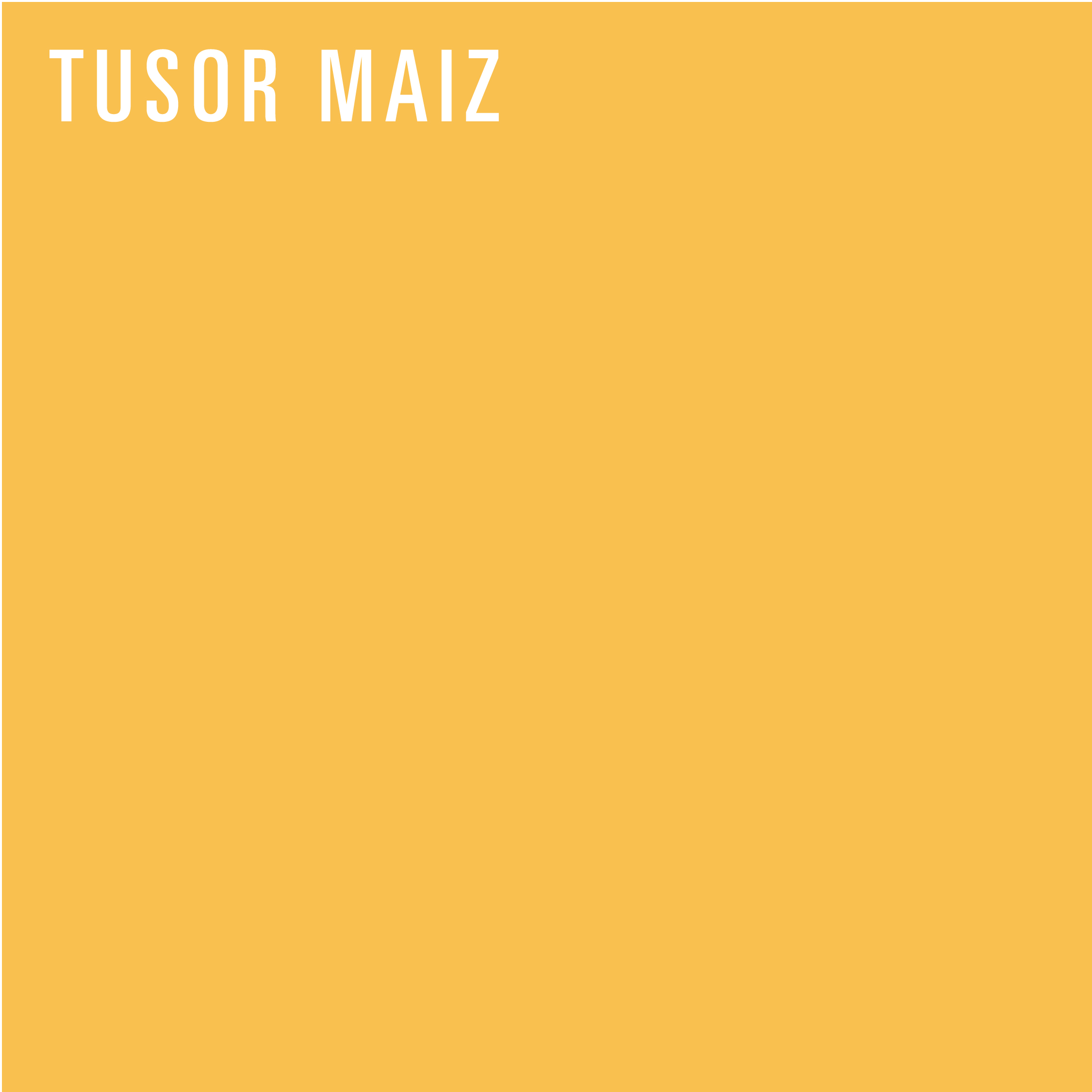 REDISEÑO WEB 2026 MANTELES & ACCESORIOS TUSOR MAIZ