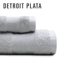 REDISEÑO WEB 2026 T&T DETROIT PLATA