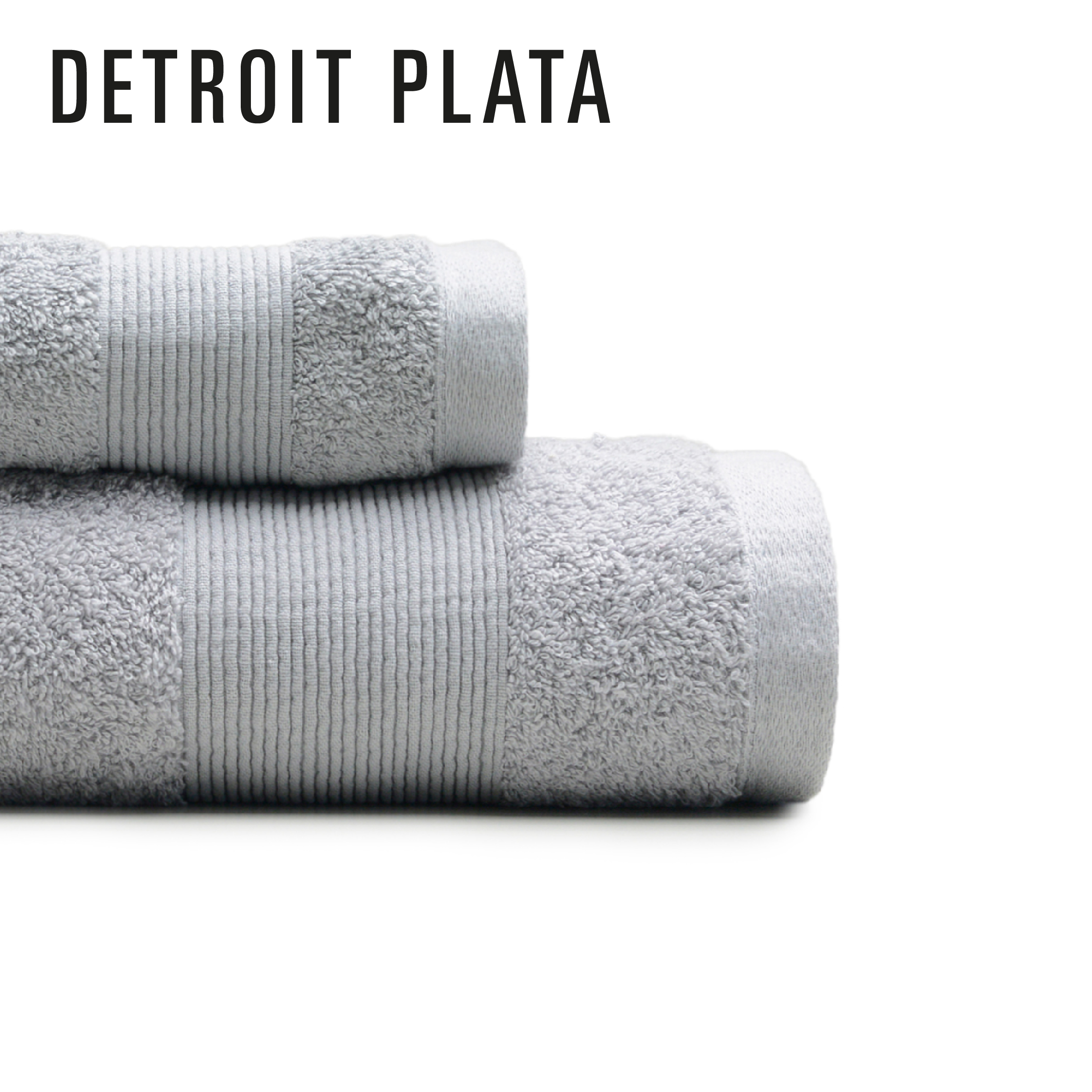 REDISEÑO WEB 2026 T&T DETROIT PLATA
