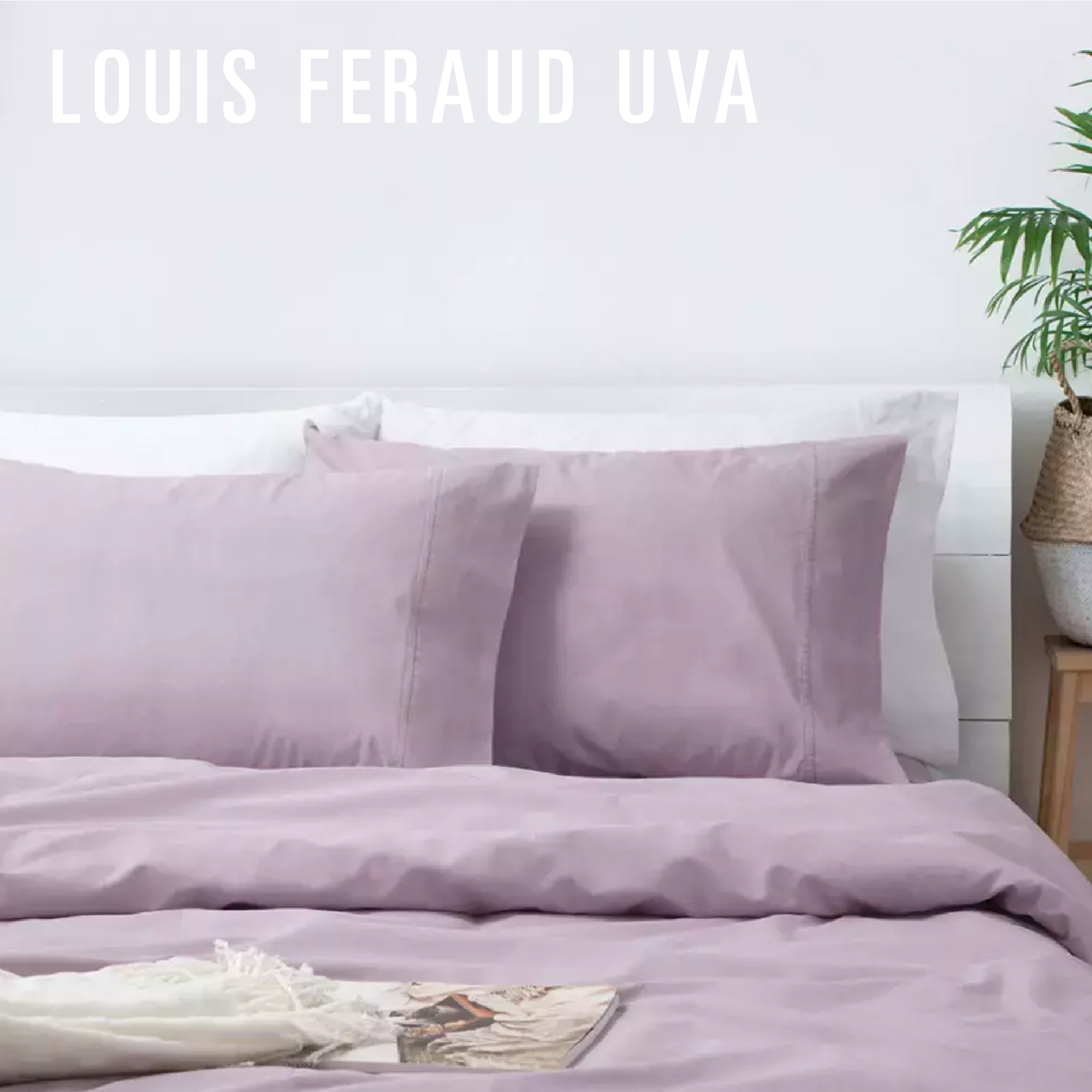 REDISEÑO WEB 2026 SABANAS LOUIS FERAUD UVA copia